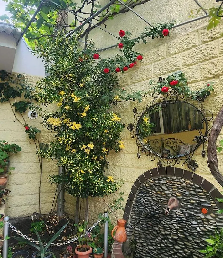 Apartment On Sundukiani Street Lane location